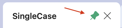 Pin icon in the top-right corner of the SingleCase taskpane